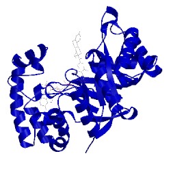Image of CATH 3eb4