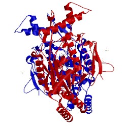 Image of CATH 3ebd