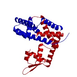 Image of CATH 3ech