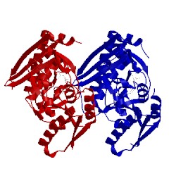 Image of CATH 3ecr