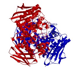 Image of CATH 3ede