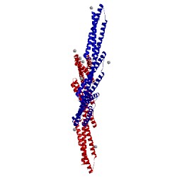 Image of CATH 3edv