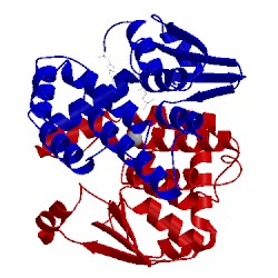 Image of CATH 3ee2