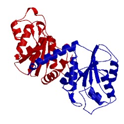 Image of CATH 3efy