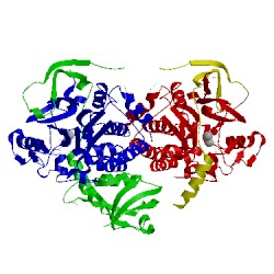 Image of CATH 3egg