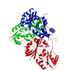 Image of CATH 3egl