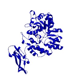 Image of CATH 3eht