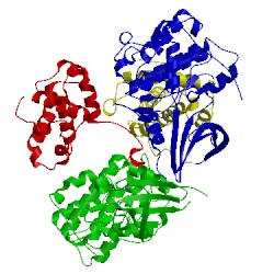 Image of CATH 3ej1