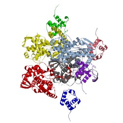 Image of CATH 3eje