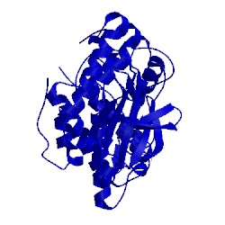 Image of CATH 3elj