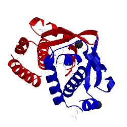 Image of CATH 3elk