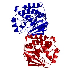 Image of CATH 3en4