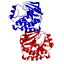 Image of CATH 3en5