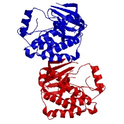 Image of CATH 3en6