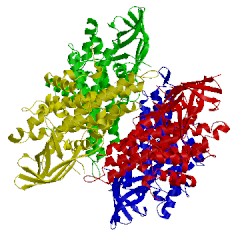 Image of CATH 3eon