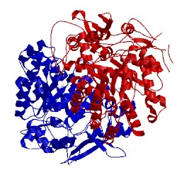 Image of CATH 3epn