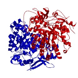 Image of CATH 3epo