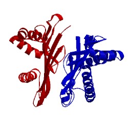 Image of CATH 3ery