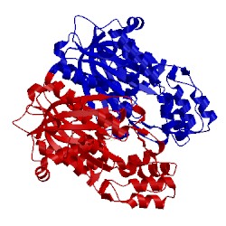 Image of CATH 3euo
