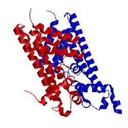 Image of CATH 3eup