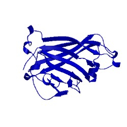 Image of CATH 3exv