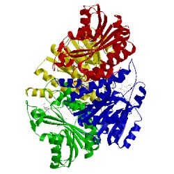 Image of CATH 3ey4