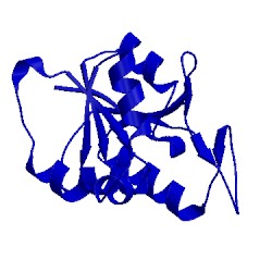 Image of CATH 3eye
