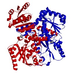 Image of CATH 3eyw