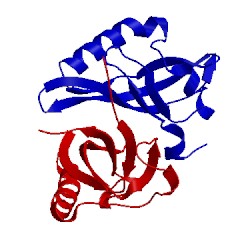 Image of CATH 3f1p