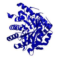 Image of CATH 3f1q