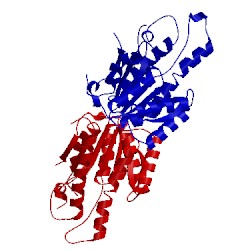 Image of CATH 3f5q