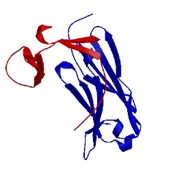 Image of CATH 3f62