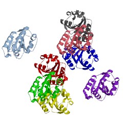 Image of CATH 3f6s