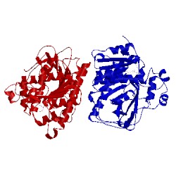 Image of CATH 3f96