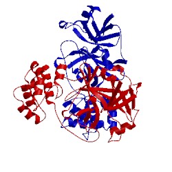 Image of CATH 3f9g