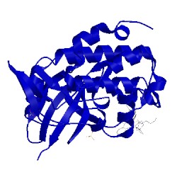 Image of CATH 3f9n