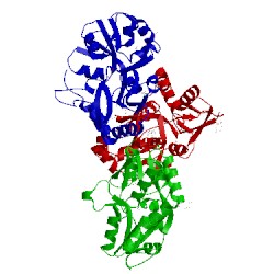 Image of CATH 3fat