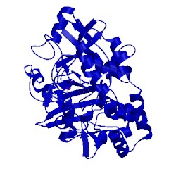 Image of CATH 3fbr