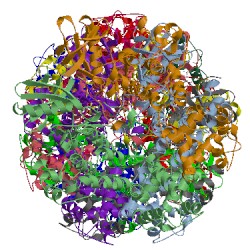 Image of CATH 3fbv