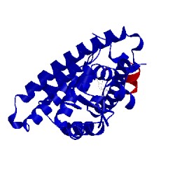 Image of CATH 3fei
