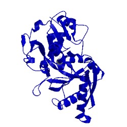 Image of CATH 3fgs