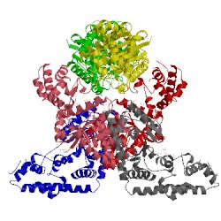 Image of CATH 3fhj