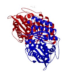 Image of CATH 3fhx