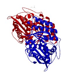 Image of CATH 3fhy