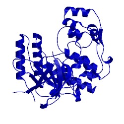 Image of CATH 3fi4