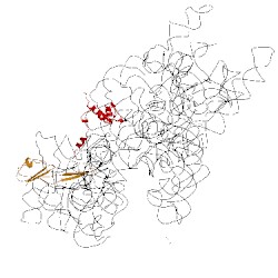 Image of CATH 3fih