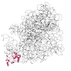 Image of CATH 3fik