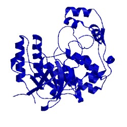 Image of CATH 3fkl