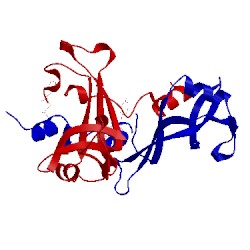 Image of CATH 3fkz