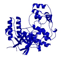 Image of CATH 3fl4